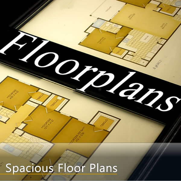 Spacious Floor Plans